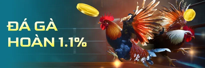 3BET Chơi Đá Gà, Nhận Hoàn Trả 1.1% Cao Nhất Thị Trường