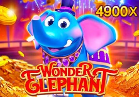 3BET Wonder Elephant