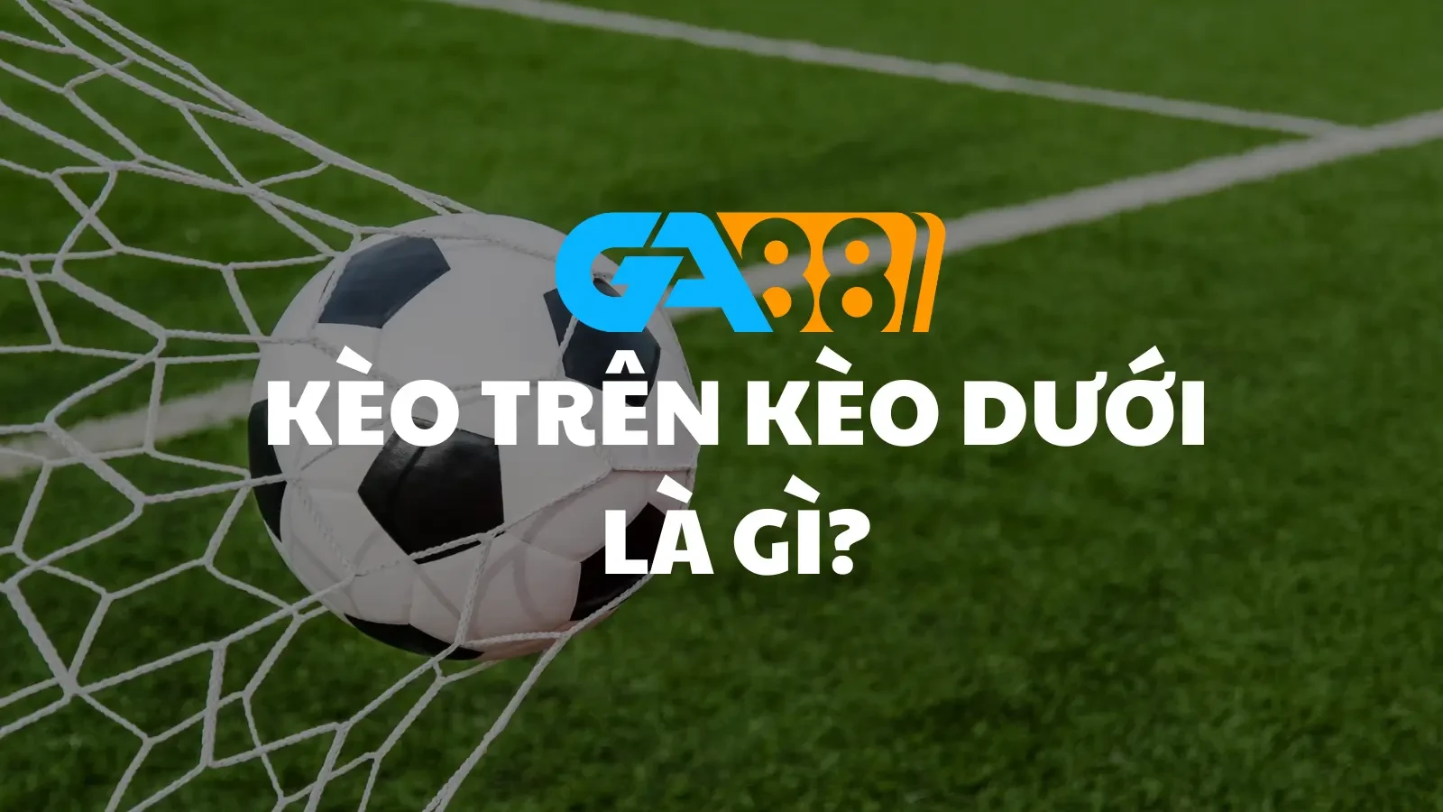 3BET Kèo trên kèo dưới là gì? Tỷ lệ chấp khi đặt kèo này
